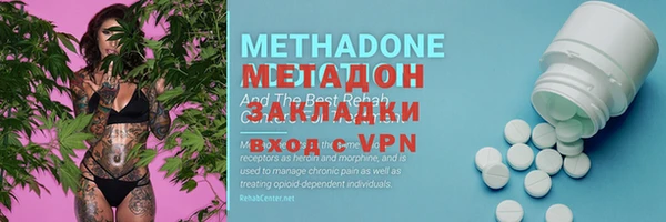 мет Алексин