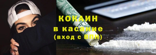 мет Алексин