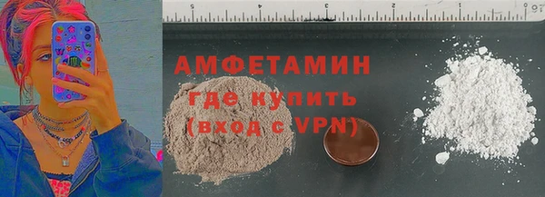 мет Алексин
